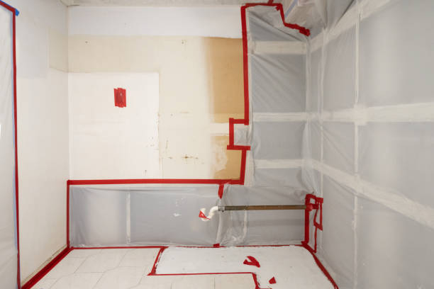 Best Mold Removal for HVAC Installations  in Varnell, GA